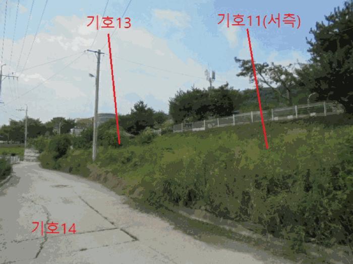 충북 제천시 신월동 산15-65 임야 사진 6