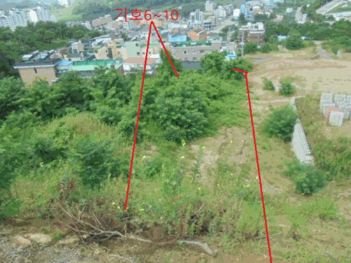 법원경매 2025타경136 사진9 | 제천시 신월동 임야 경매