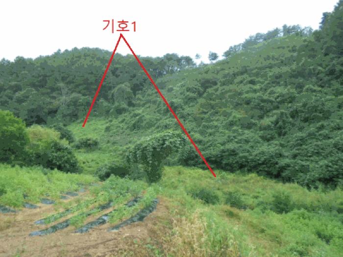 2025타경156 법원경매 사진2 | 충북 제천시 대지,임야,전답 경매