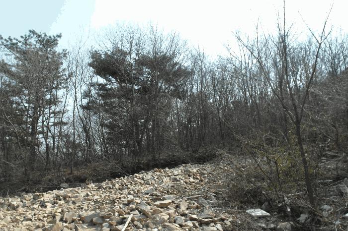 2025타경396 법원경매 사진2 | 충남 논산시 임야 경매