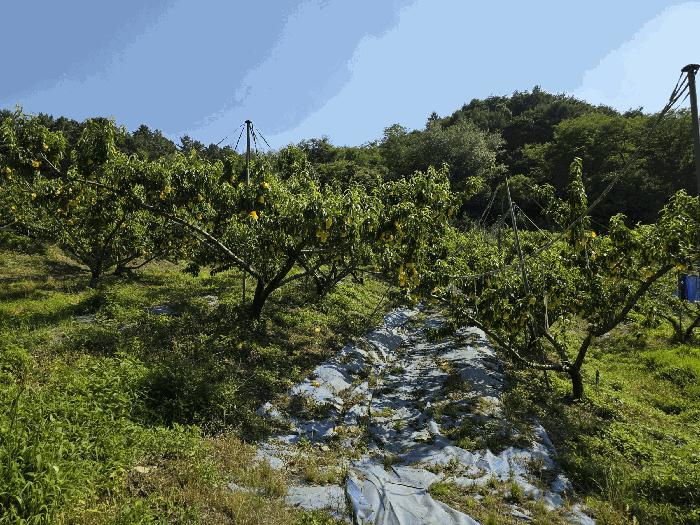2025타경30601 법원경매 사진2 | 충북 충주시 답 경매