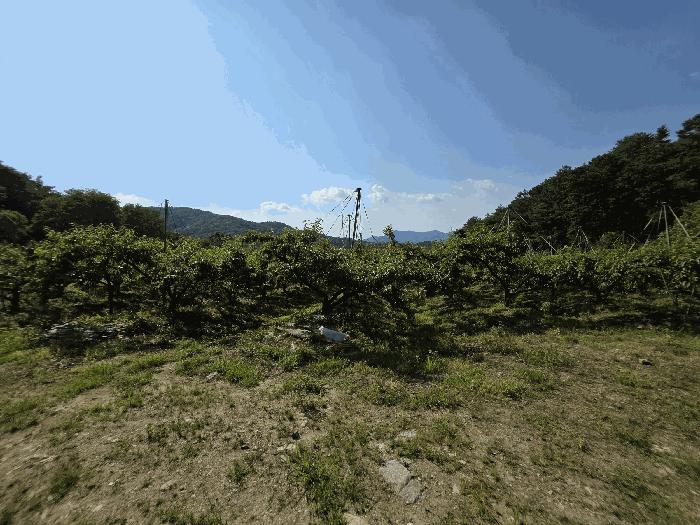 2025타경30601 법원경매 사진4 | 충북 충주시 답 경매