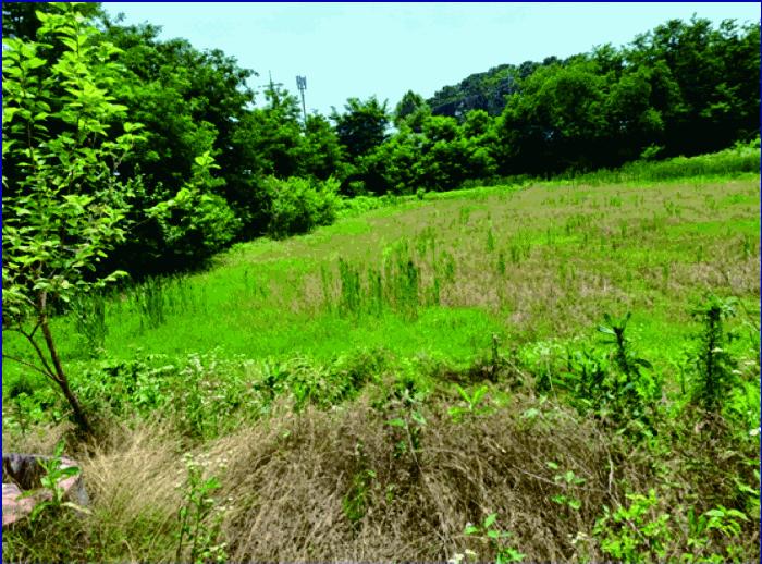 2025타경436 법원경매 사진2 | 충남 논산시 답 경매