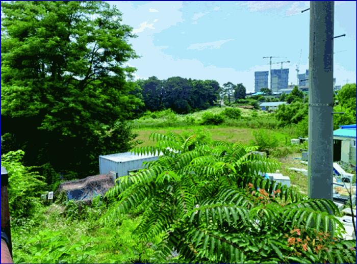 2025타경436 법원경매 사진6 | 충남 논산시 답 경매