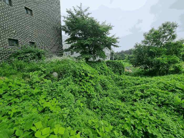 충청북도 음성군 금왕읍 내송리 70-88 법원경매 물건 대표사진