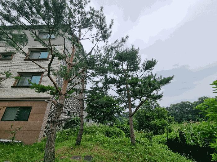 2025타경30619 법원경매 사진2 | 충북 음성군 임야 경매