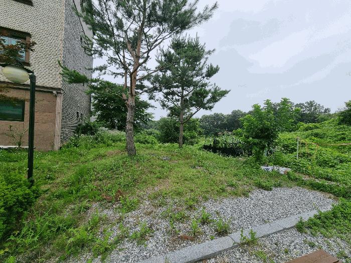 2025타경30619 법원경매 사진3 | 충북 음성군 임야 경매