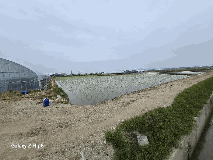 2025타경20356 법원경매 사진2 | 충남 논산시 답 경매