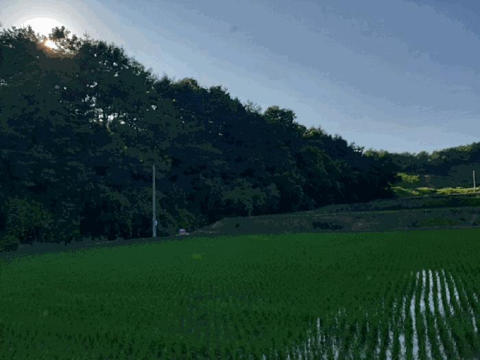 법원경매 2025타경20365 사진2 | 부여군 충화면 지석리 임야 경매