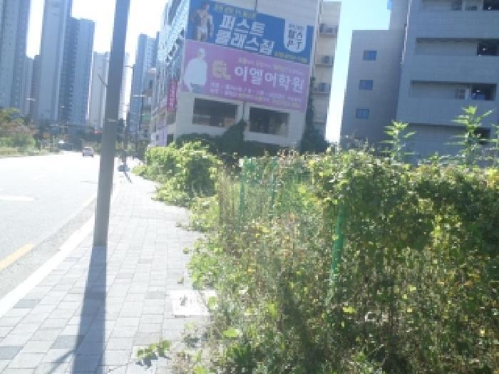 법원경매 2025타경31818 사진10 | 전주시 완산구 효자동2가 1358-2 대지 경매
