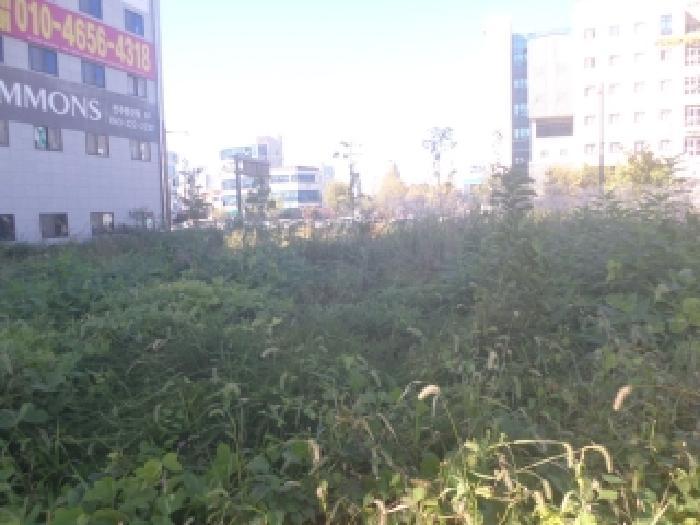 법원경매 2025타경31818 사진12 | 전주시 완산구 효자동2가 1358-2 대지 경매