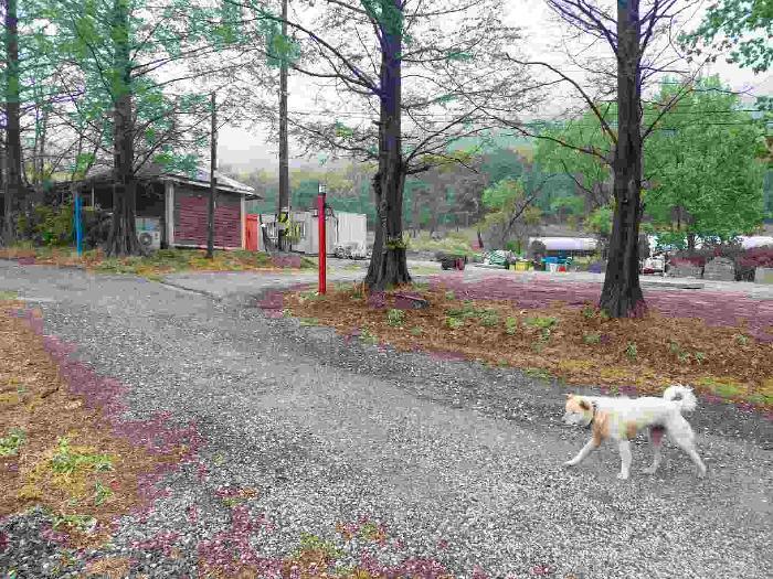 2025타경11548 법원경매 사진65 | 충남 아산시 근린주택 경매