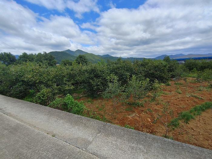 2024타경12090 법원경매 사진16 | 경남 밀양시 하천 경매