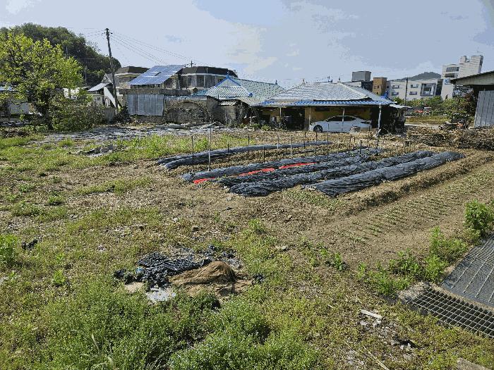 2025타경11662 법원경매 사진3 | 충남 아산시 대지 경매