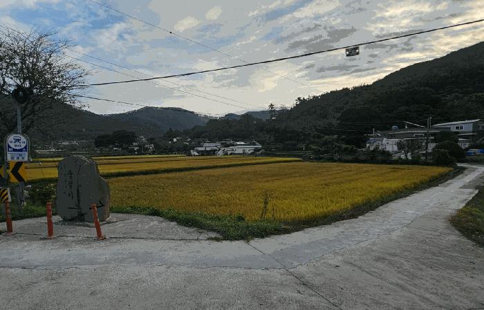 2025타경623 법원경매 사진3 | 경남 거제시 답 경매
