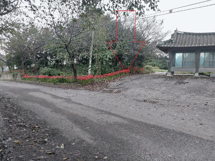 2025타경355 법원경매 사진5 | 전북 부안군 전 경매