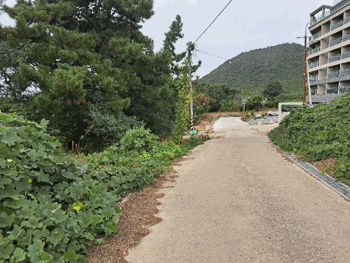 전북특별자치도 부안군 변산면 격포리 651-59 법원경매 물건 대표사진