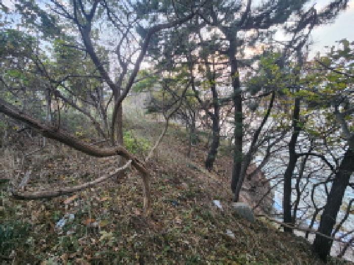 법원경매 2025타경361 사진10 | 부안군 변산면 격포리 651-59 전 경매