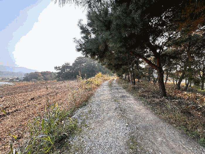 2025타경362 법원경매 사진3 | 전북 정읍시 임야 경매