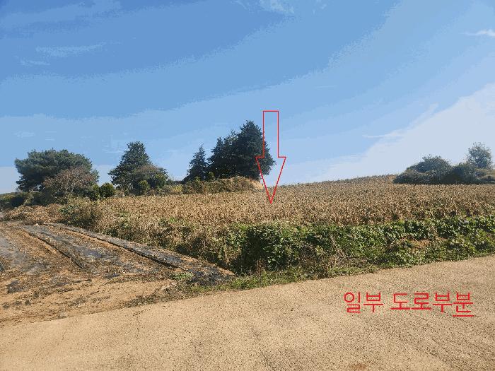 2025타경368 법원경매 사진2 | 전북 부안군 전답 경매