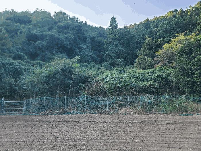 2025타경21932 법원경매 사진4 | 경남 통영시 전 경매