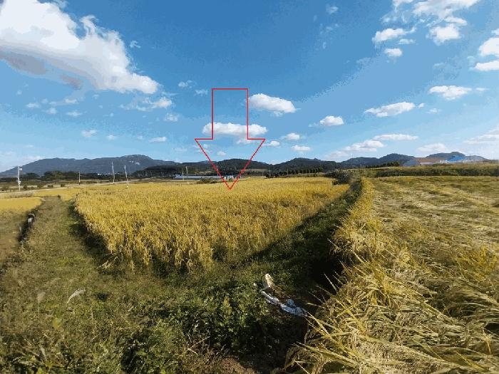 2025타경30458 법원경매 사진3 | 전북 고창군 전 경매