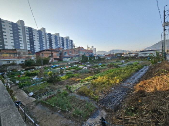 2025타경30483 법원경매 사진3 | 전북 정읍시 답 경매