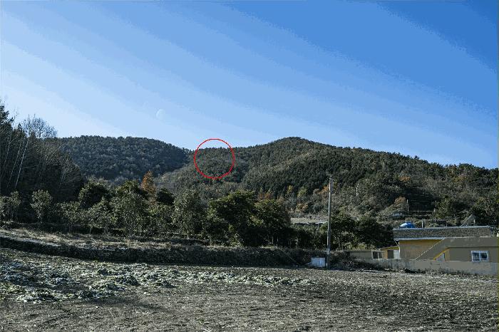 전라남도 여수시 돌산읍 둔전리 산150-4 법원경매 물건 대표사진