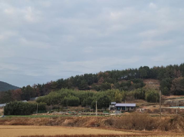 2025타경710 법원경매 사진13 | 전남 여수시 임야 경매