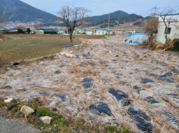 2025타경710 법원경매 사진27 | 전남 여수시 임야 경매