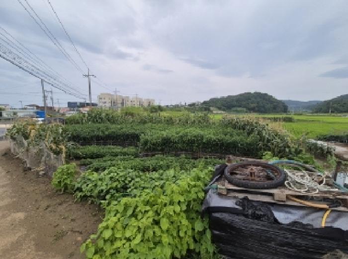 2025타경425 법원경매 사진5 | 포항 남구 전 경매