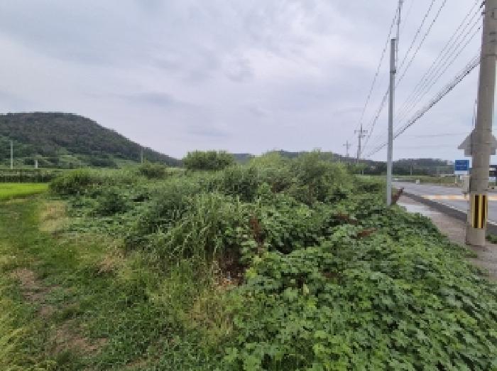 2025타경425 법원경매 사진7 | 포항 남구 전 경매