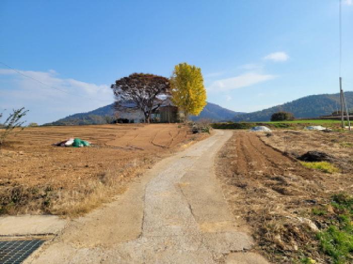 2025타경52138 법원경매 사진9 | 전남 고흥군 임야 경매