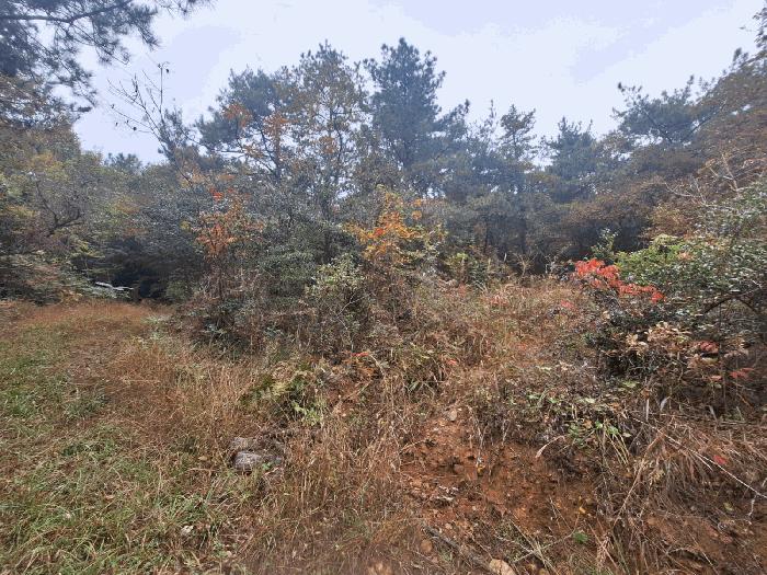 전라남도 고흥군 남양면 망주리 1301-1 법원경매 물건 대표사진