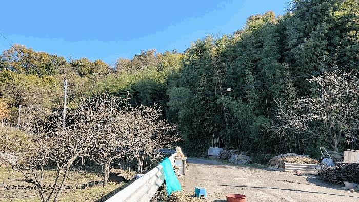 2025타경52210 법원경매 사진2 | 전남 보성군 전 경매