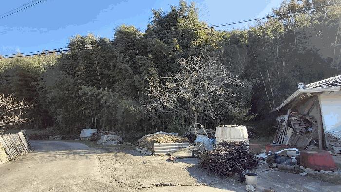 2025타경52210 법원경매 사진3 | 전남 보성군 전 경매