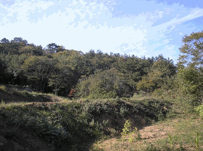 2025타경52254 법원경매 사진3 | 전남 보성군 임야 경매