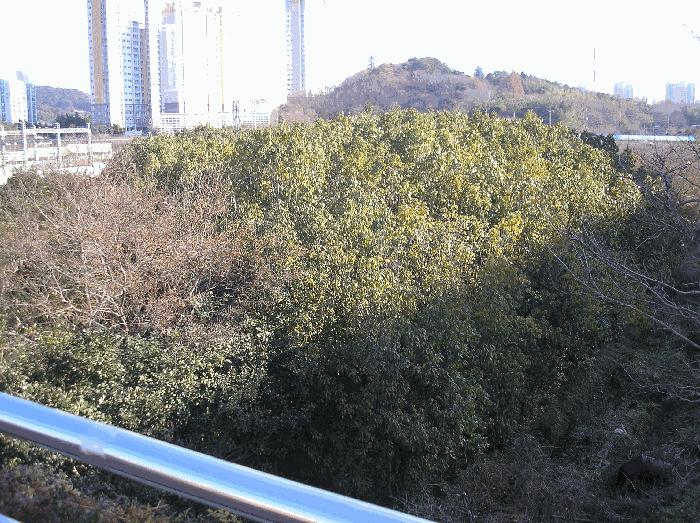 2025타경52406 법원경매 사진13 | 전남 순천시 답 경매