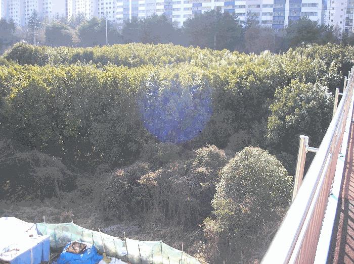 2025타경52406 법원경매 사진4 | 전남 순천시 답 경매