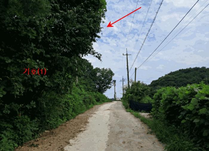 법원경매 2025타경72917 사진12 | 연천군 전곡읍 늘목리 496-2 임야 경매