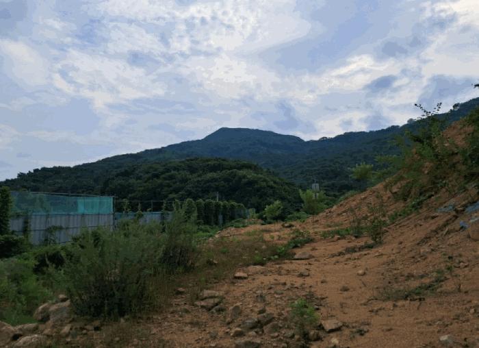 법원경매 2025타경72917 사진19 | 연천군 전곡읍 늘목리 496-2 임야 경매