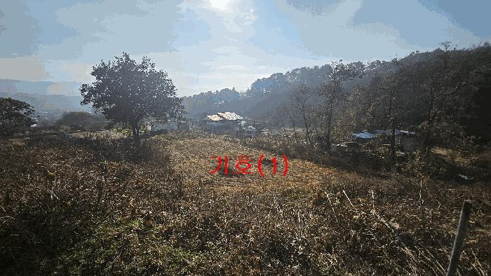 경기도 포천시 신북면 가채리 597-1 법원경매 물건 대표사진