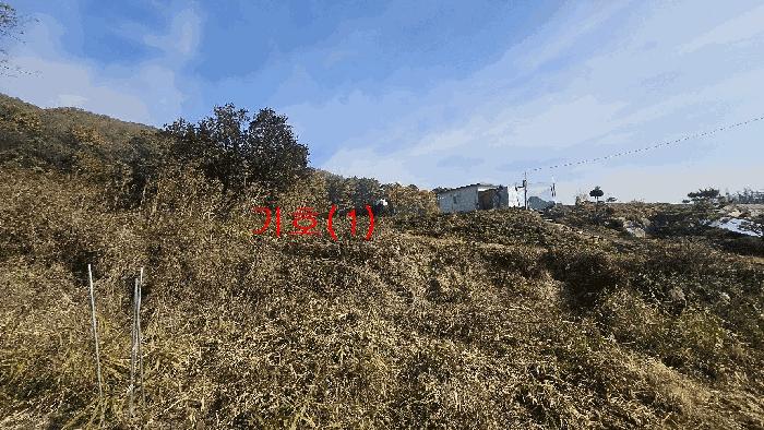법원경매 2025타경73454 사진2 | 포천시 신북면 가채리 597-1 답 경매