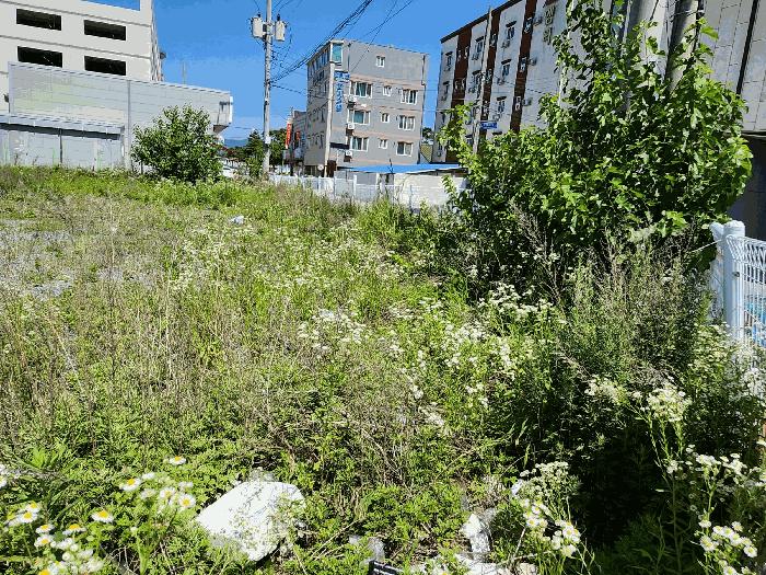 2025타경1066 법원경매 사진2 | 충남 홍성군 대지 경매