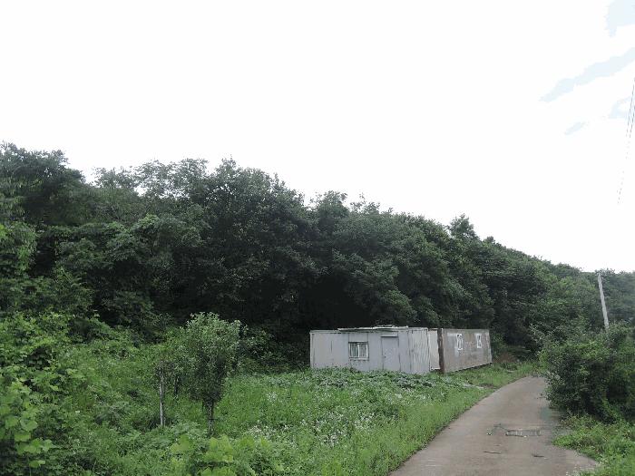 충청남도 보령시 화산동 산105-16 법원경매 물건 대표사진