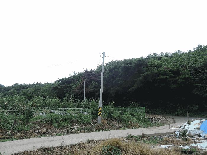 2025타경1086 법원경매 사진5 | 충남 보령시 임야 경매