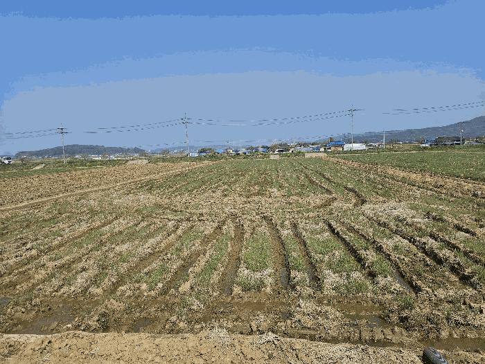 충청남도 보령시 남포면 달산리 538 법원경매 물건 대표사진