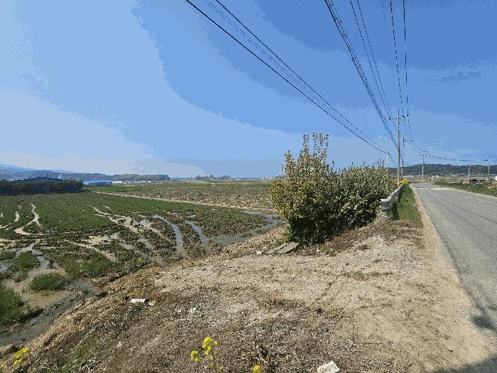 2025타경15674 법원경매 사진4 | 충남 보령시 답 경매