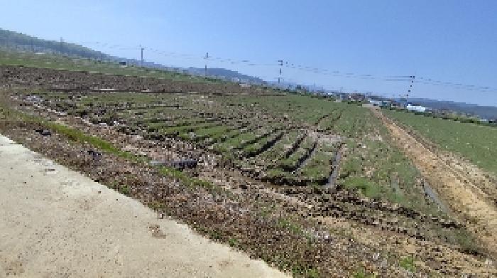 2025타경15674 법원경매 사진5 | 충남 보령시 답 경매