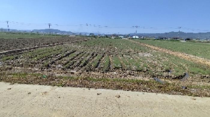 2025타경15674 법원경매 사진6 | 충남 보령시 답 경매